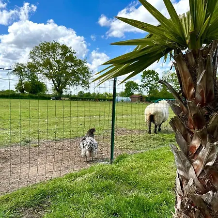 منزل للإقامة D'hotes 